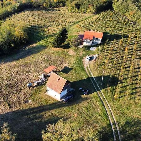Вілла Vikend House Ljig Екстер'єр фото