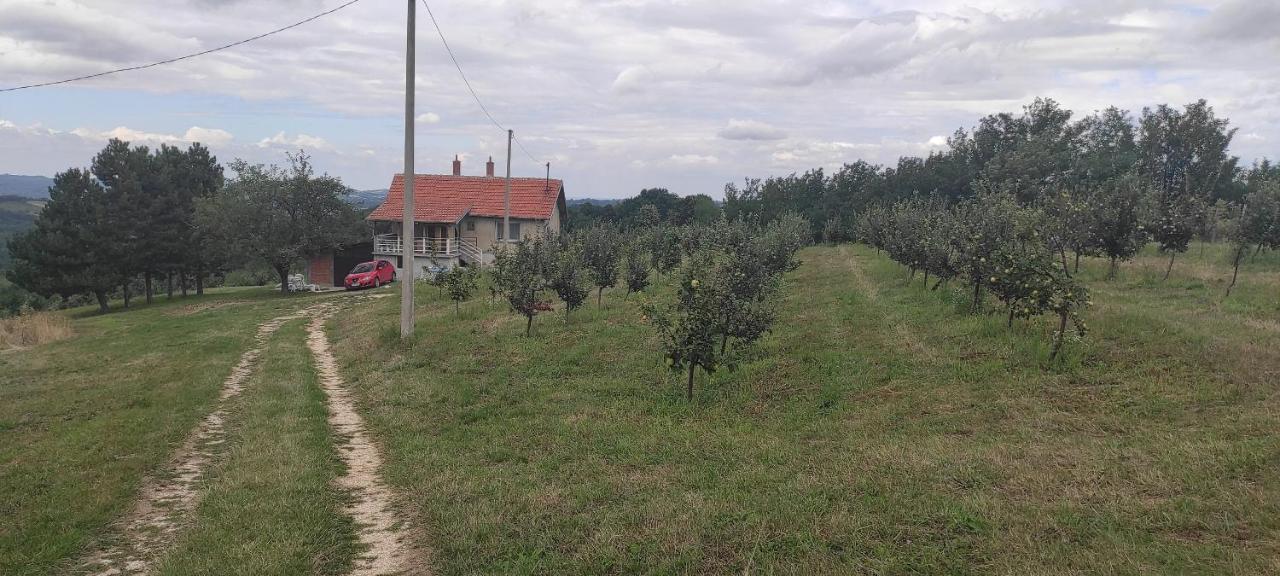 Вілла Vikend House Ljig Екстер'єр фото