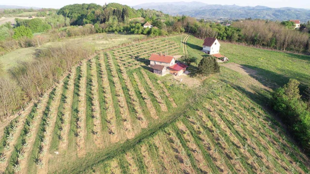 Вілла Vikend House Ljig Екстер'єр фото