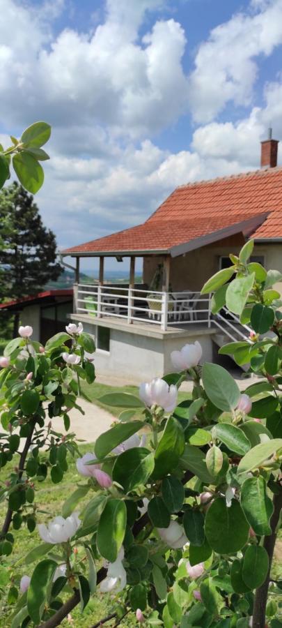 Вілла Vikend House Ljig Екстер'єр фото